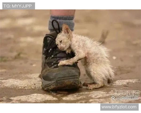 街头美食与足球明星的奇妙邂逅大爷的故事让人感动又温暖 街头美食与足球明星的奇妙邂逅大爷的故事让人感动又温暖